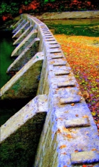 The forty steps of Bane's Mill Dam