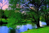 Peaceful section along side Bane's Mill Dam property.