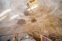 Dome-House-c5