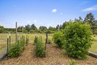 2025-Jun-20-Ben-Hansen-42-Web-Or-Mls-1241-Koontz-Rd-Chehalis-Wa-Luminate-Media-43