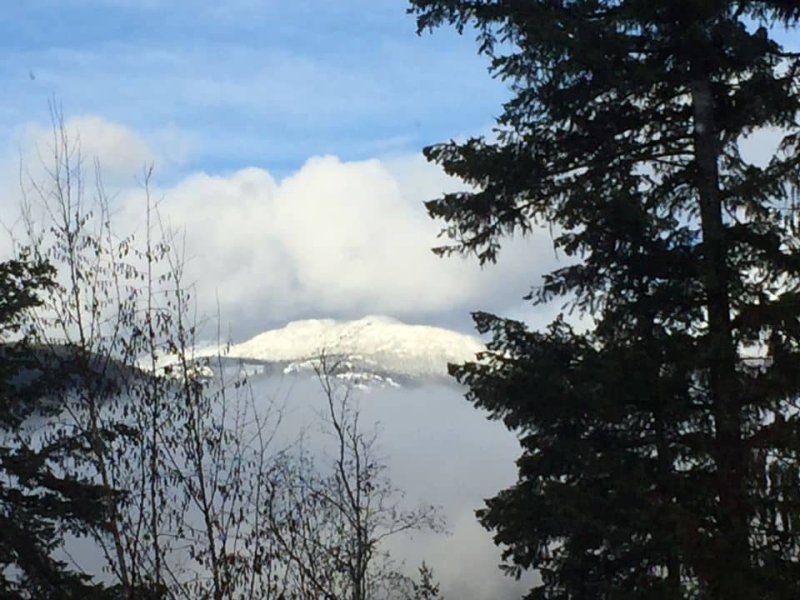 View-of-Mt-Grizzly-from-living-RM
