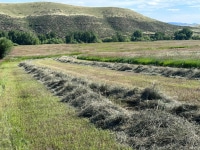 The-Ranches