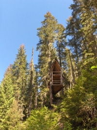 1_Treehouse