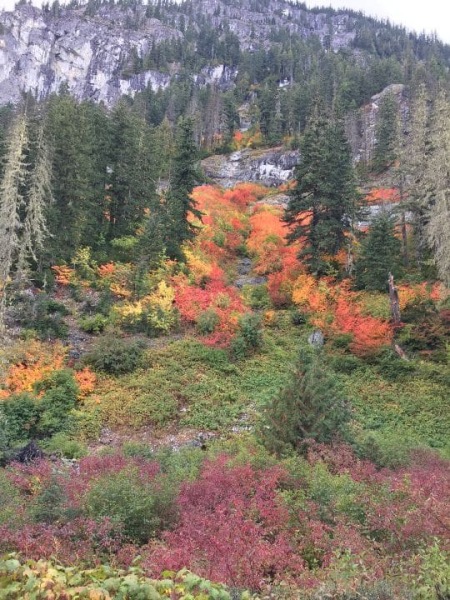 Fall-Colors