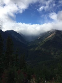 Looking-back-at-property