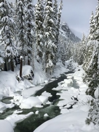 Winter-time-Solitude