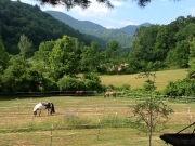 Earth sheltered home and horse property at Stonegate Tr., 20 minutes from Asheville, NC