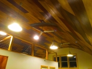 vannoy hollow_CEILING