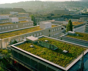 the thought to Grow a Living Roof is obviously becoming an option with city planners.