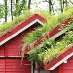 grow a living roof on your home