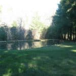 Pond on this equestrian estate