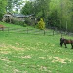 14 acres on this beautiful equestrian estate near Hendersonville 