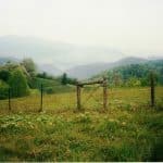 Lay your hand on a locust fence post and touch the corners of Madison, Buncombe, and Yancey counties. Asheville area mountain land