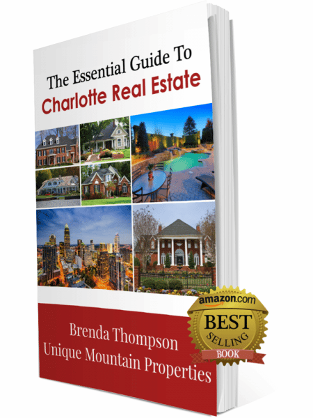 Brenda's Best Selling Book jacket with her chapter on selling unique mountain properties
