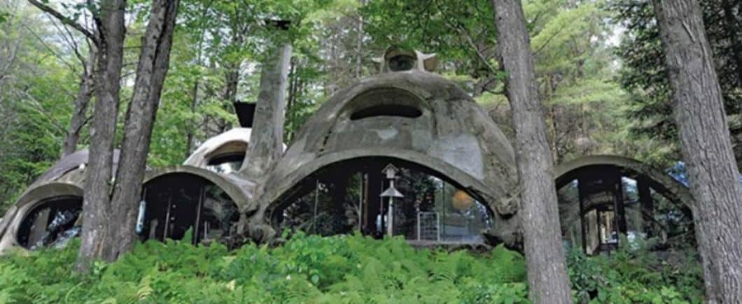 Incredible Famous Vermont Dome house