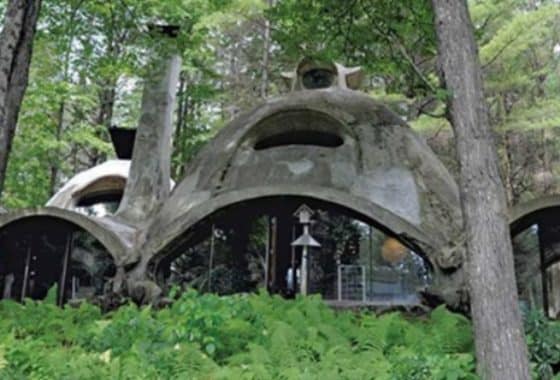 Incredible Famous Vermont Dome house