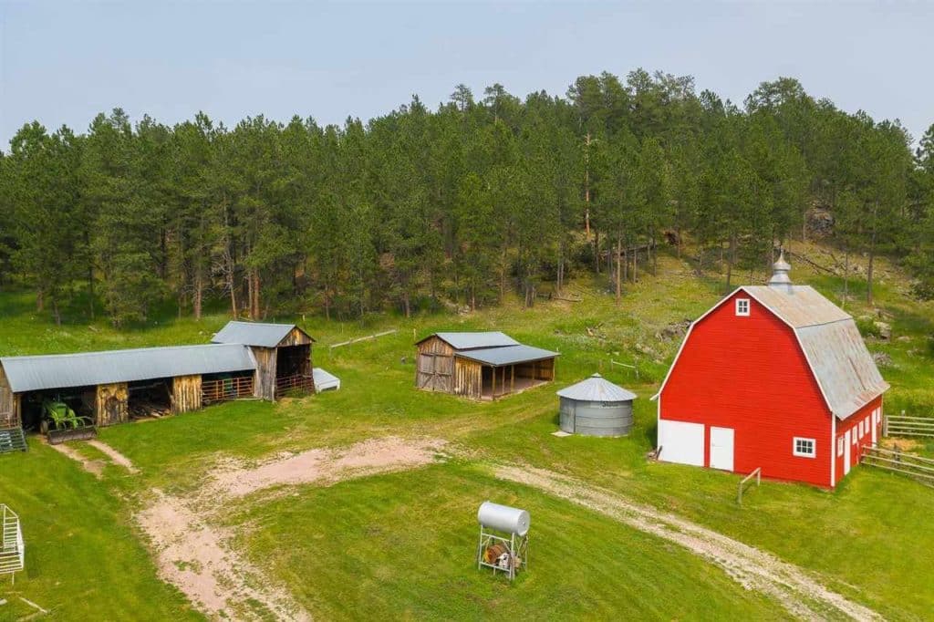 Big red barn and outbuildings at the Black Hills Ranch.