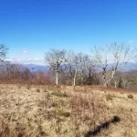 Panoramic views from Ogle Meadows nc high elevation land.