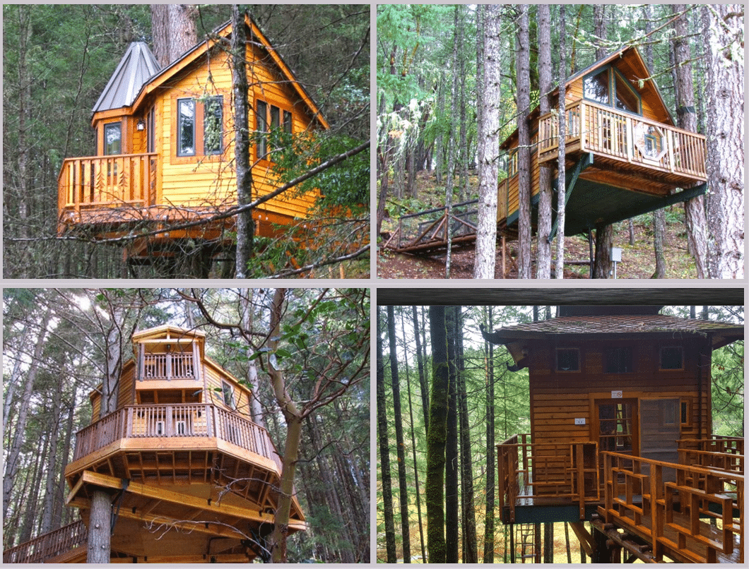 All four of the Oregon Tree Houses