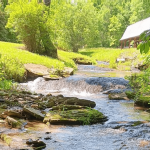 Pretty stream flowing beside a barn