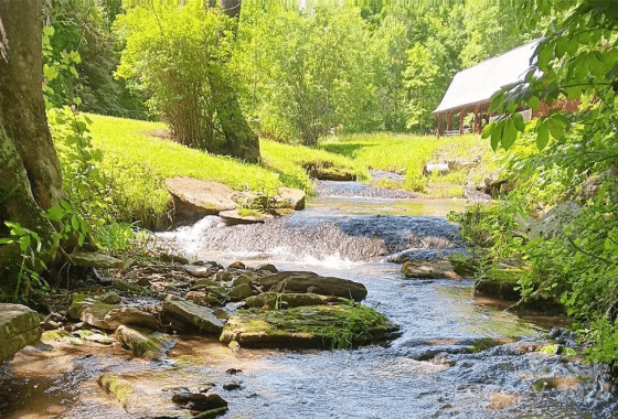 Pretty stream flowing beside a barn