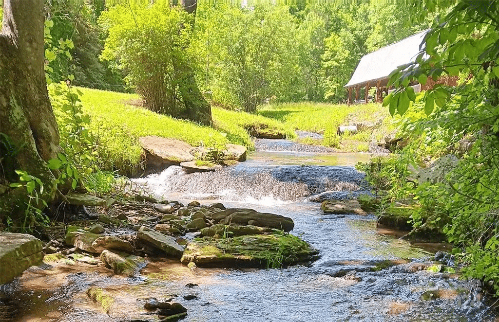 Pretty stream flowing beside a barn