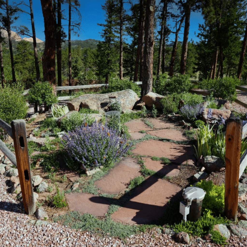 Xeriscape landscaping at the High Country Hacienda