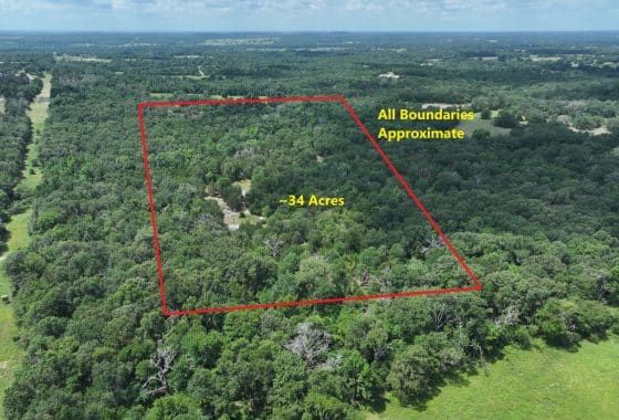 Aerial vier of premier hunting property in Texas.