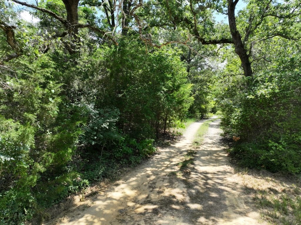 seclued drive to the prime Texas hunting property