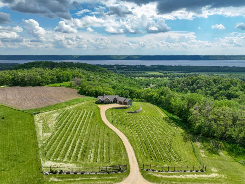 View of home with lake pepin beyond and vineyard.