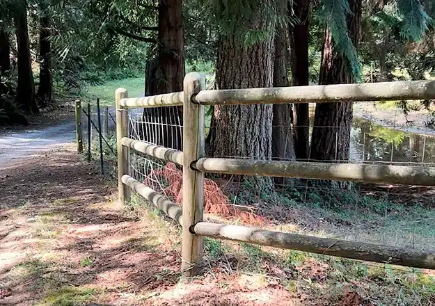 Gravel drive bordered by rustic wooden fence that surrounds two pastures in the forest area.