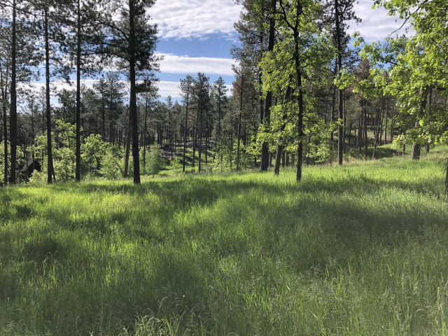 Stage Stop Tract picture of a lot in lakota lakes community