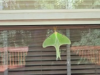 2025-Nov-22-April-Emery-Fb-Img-1763690343194