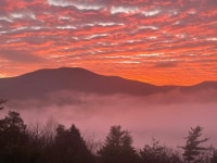 1_2026-Jan-26-Rick-Daniele-Cf-Sp-Pinksunrise