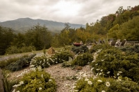 1_2026-Jan-26-Rick-Daniele-Cf-Sp-Rockgarden