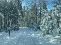 1_2026-Jan-26-Rick-Daniele-Cf-Sp-Snowyentrance