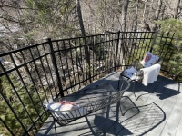 1_2026-Jan-26-Rick-Daniele-Cf-Sp-Streamoverlook