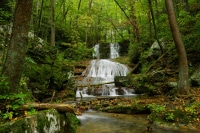 1_2026-Jan-26-Rick-Daniele-Cf-Waterfall-Fall
