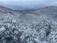 1_2026-Jan-26-Rick-Daniele-Cf-Winterscapeview