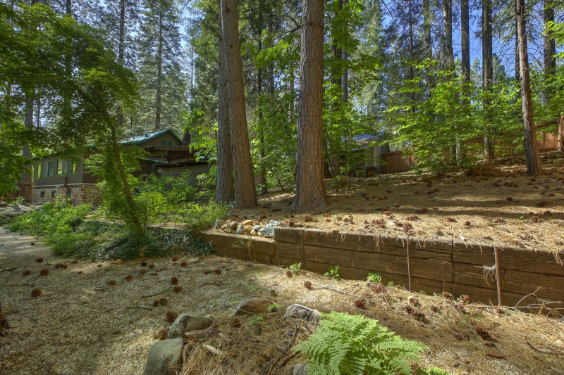 2025-Jun-28-Nick-Toomey-32-Web-Or-Mls-1H4a8015-6-7