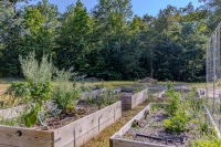 2025-Jun-29-Teresa-Sligh-Fm726-Hires-63