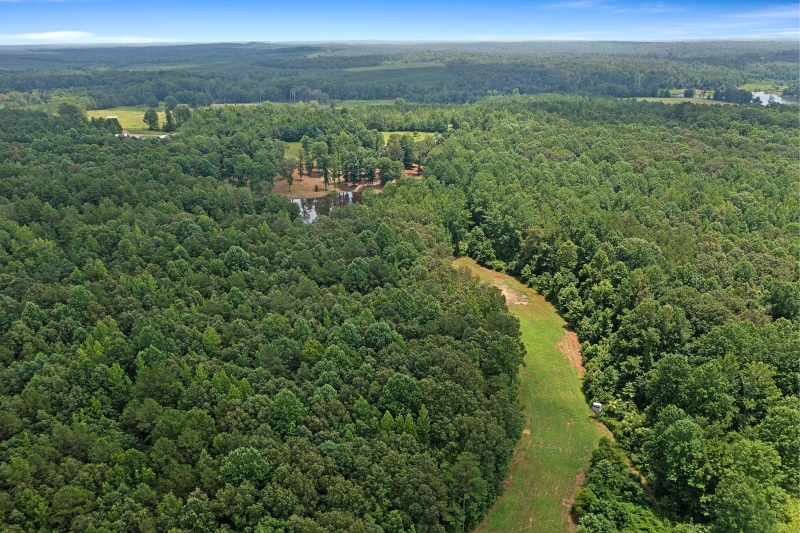 DJI_0331