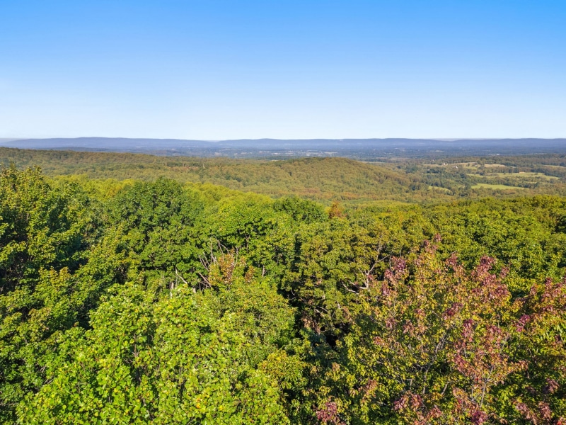 94-web-or-mls-DJI_0615