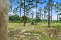 2025-Aug-19-Natalie-Taflinger-06-Pix09630