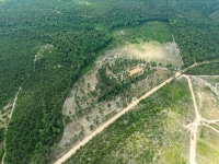 2025-Aug-19-Natalie-Taflinger-82-Dji-0064