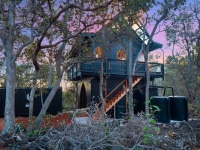 1_120_922120_Palm120_mls