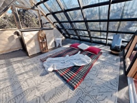 1_41_922120_Palm41_mls