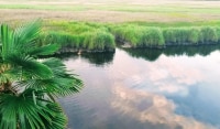 RIVER-HAVEN2-LL1