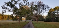 20201108_065529