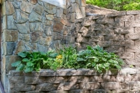 2024-Jun-03-Mac-Ellis-6F7a3461